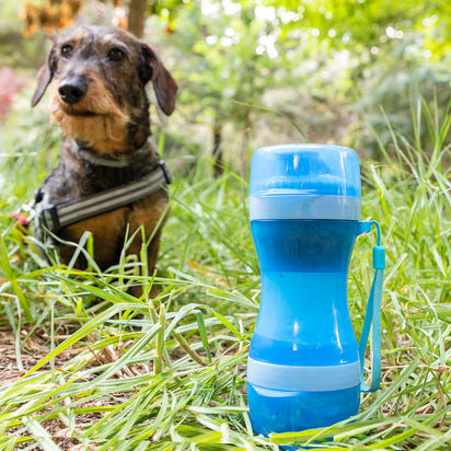 2-in-1 Drinking and Feeding Bottle for Pets