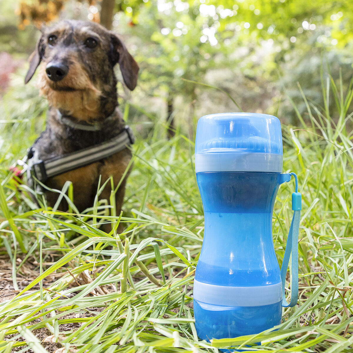 2-in-1 Drinking and Feeding Bottle for Pets