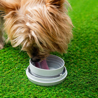 6-in-1 Retractable Dog Leash with LED 