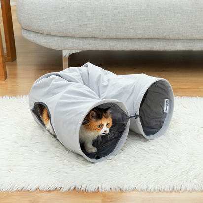 Cat tunnel 