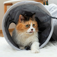Cat tunnel 