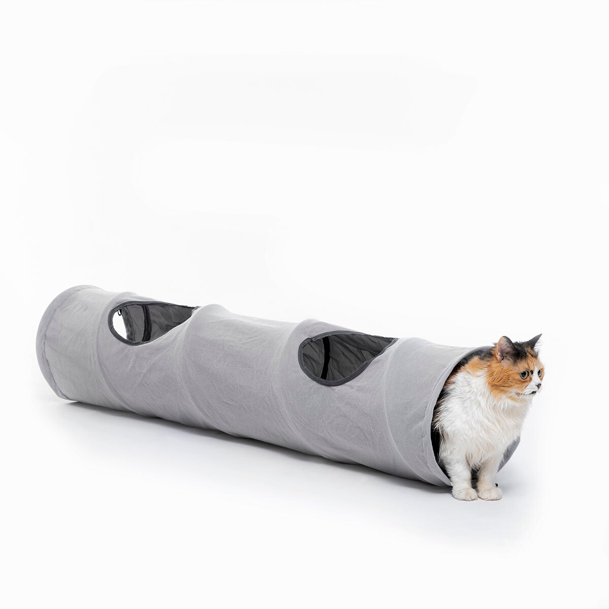 Cat tunnel 