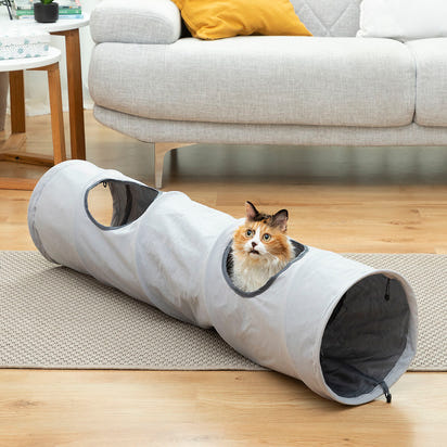 Cat tunnel 