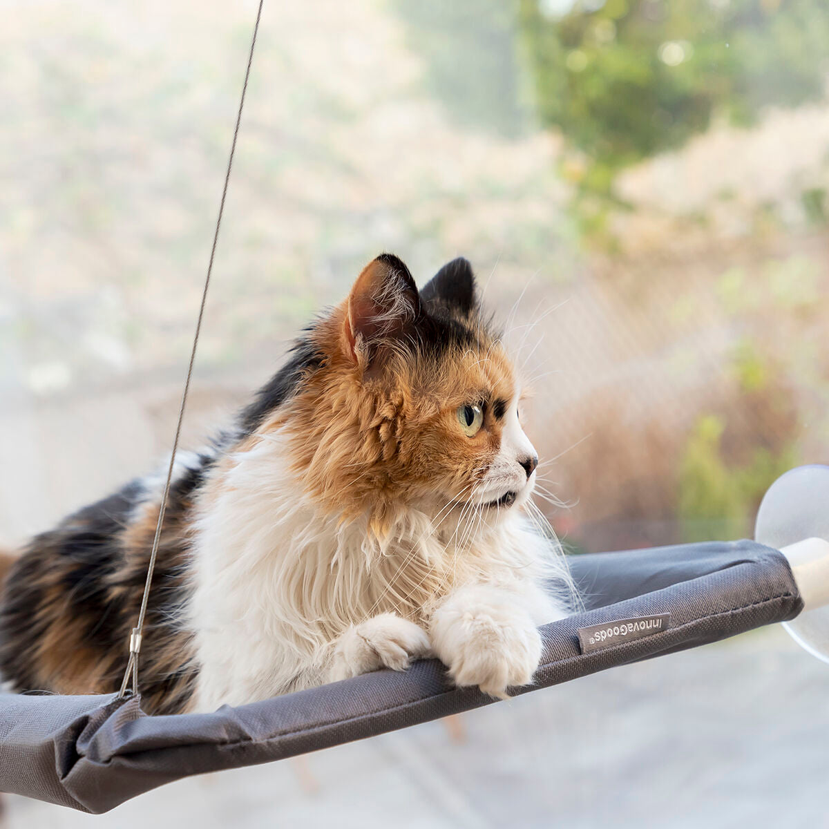 Cat hammock for cats Catlax InnovaGoods 
