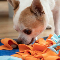 Sniffing mat for pets 